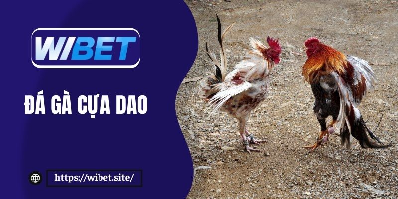 Đá gà cựa dao WIBET – Hướng dẫn chi tiết cho người mới chơi