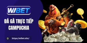 Đá gà trực tiếp Campuchia tại WIBET update trận đấu mỗi ngày