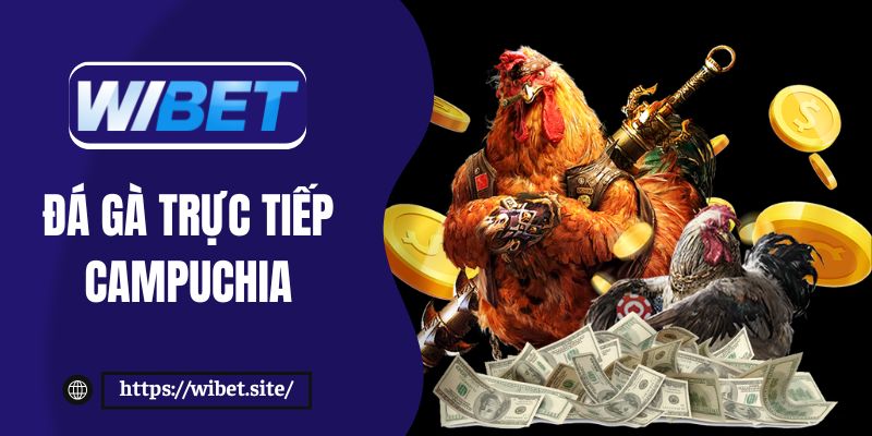 Đá gà trực tiếp Campuchia tại WIBET update trận đấu mỗi ngày