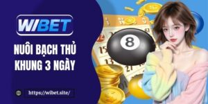 Nuôi bạch thủ khung 3 ngày: Bí kíp chơi lâu dài chỉ có lãi